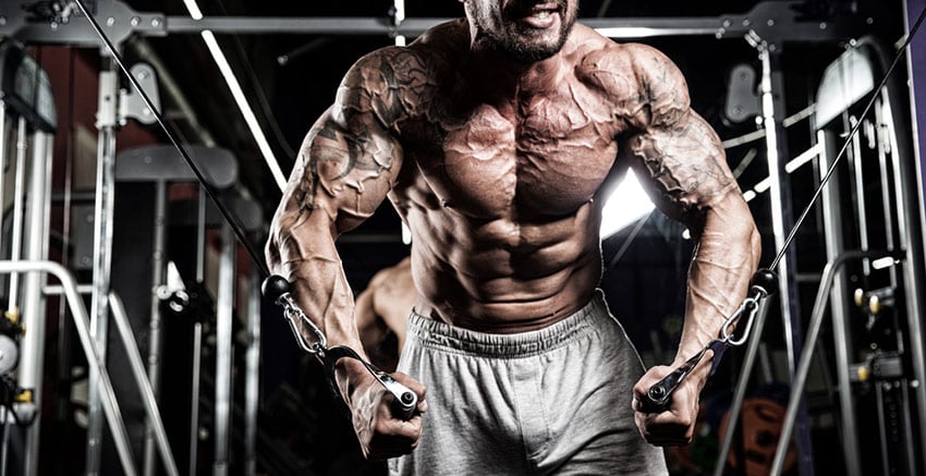 testosteron odchudzanie