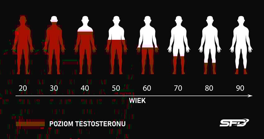 poziom testosteronu z wiekiem wykres