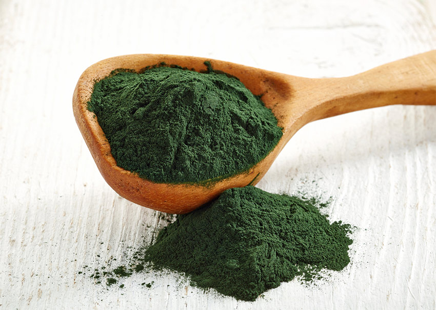 spirulina w proszku