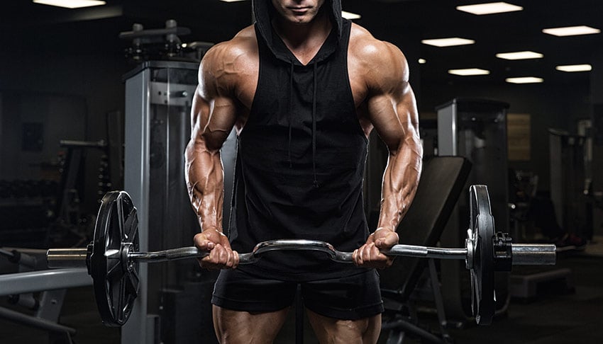 trening bicepsów na siłowni