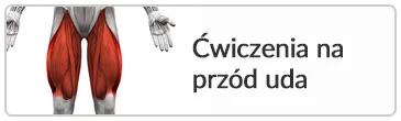 przód uda