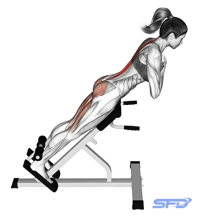 unoszenie tułowia na ławce rzymskiej