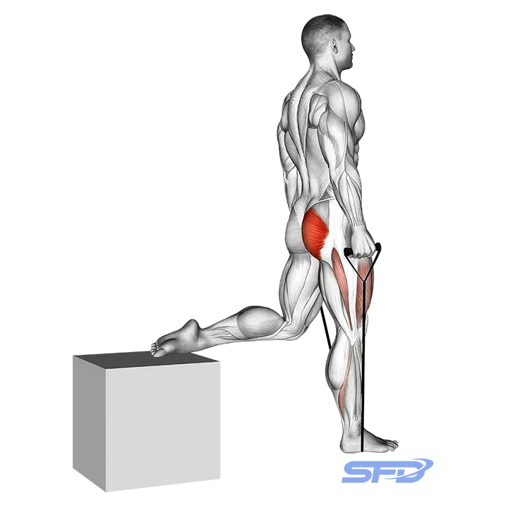 przysiady z nogą na podwyższeniu z gumą oporową