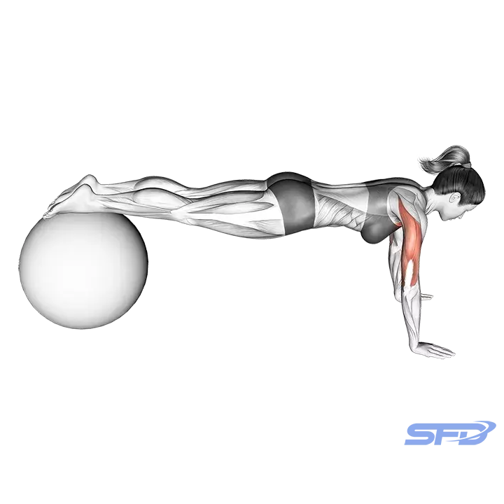 pompki z nogami na piłce