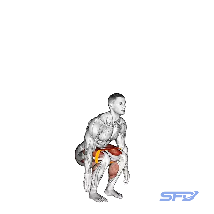 przysiad z wyskokiem z gumą oporową