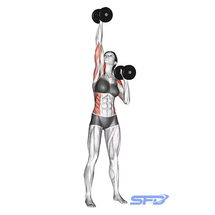 naprzemienne wyciskanie hantli nad głową stojąc