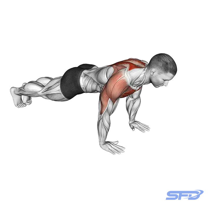 pompka połączona z leżeniem na brzuchu