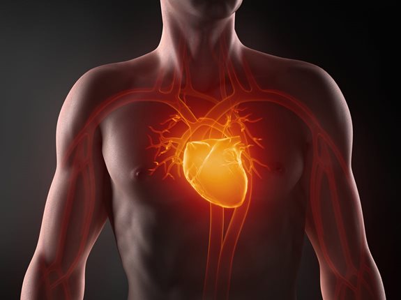 Kreatyna, a zdrowie serca? Czy kreatyna wpływa na serce?