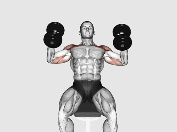 Wyciskanie hantlami leżąc głową w górę chwytem młotkowym - Dumbbell Incline Hammer Press