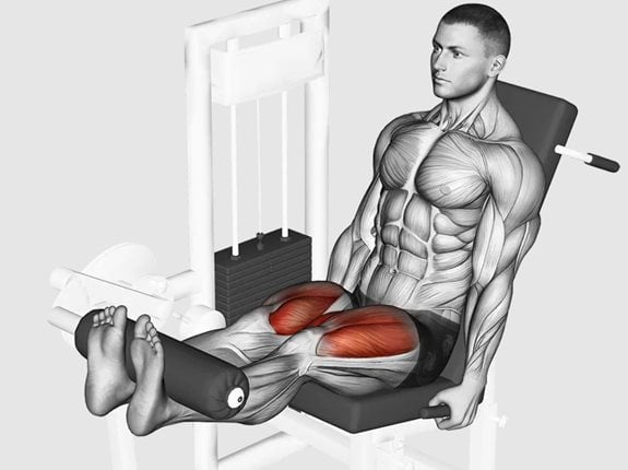 Prostowanie nóg siedząc na maszynie - Lever Leg Extension
