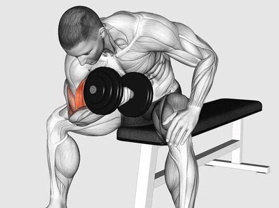 Uginanie ramienia siedząc w oparciu łokciem o udo - Dumbbell Concentration Curl