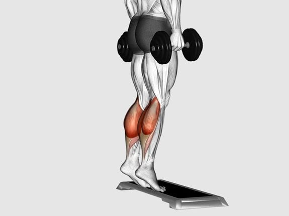 Wspięcia na palce z hantlami, stojąc na podwyższeniu - Dumbbell Standing Calf Raise