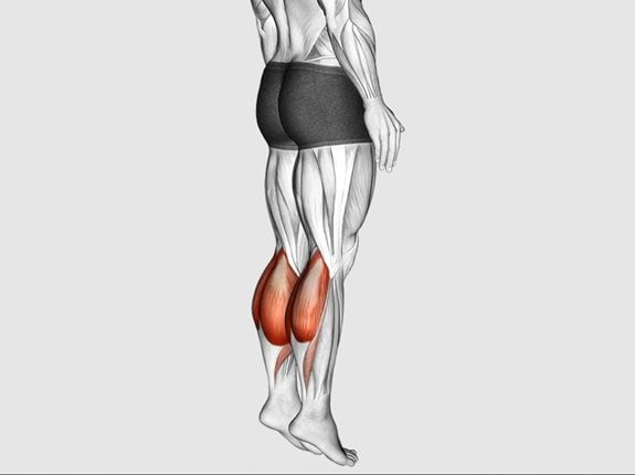 Wspięcia na palce stojąc (masa ciała) - Bodyweight Standing Calf Raise