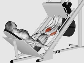 Wypychanie ciężaru na maszynie (suwnicy) palcami nóg - Sled Calf Press On Leg Press