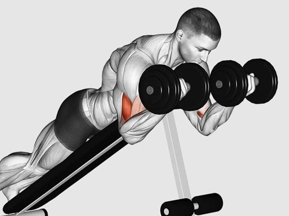 Uginanie ramion leżąc przodem na ławce - Dumbbell Prone Incline Curl