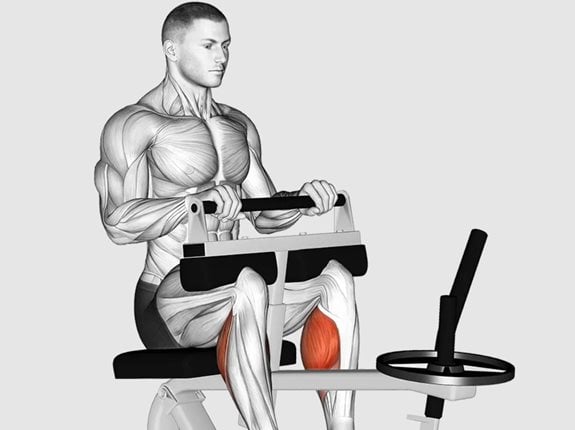 Wspięcia na palce siedząc na maszynie - Lever Seated Calf Raise
