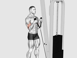 Uginanie młotkowe ramion z liną wyciągu - Cable Hammer Curl (with rope)