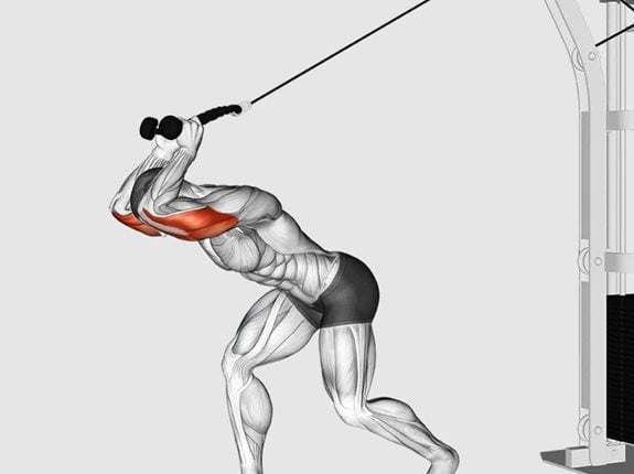 Prostowanie ramion z liną wyciągu górnego, zza głowy - Cable High Pulley Overhead Triceps Extension