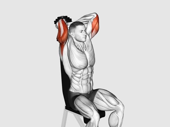 Wyciskanie francuskie z hantlem siedząc - Dumbbell Seated Triceps Extension