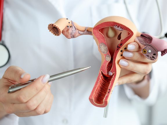 Berberyna, a rak endometrium. Skąd się bierze rak endometrium?