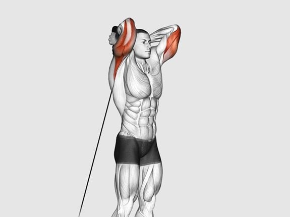 Prostowanie ramion z liną wyciągu dolnego nad głowę - Cable Overhead Triceps Extension (rope attachment)