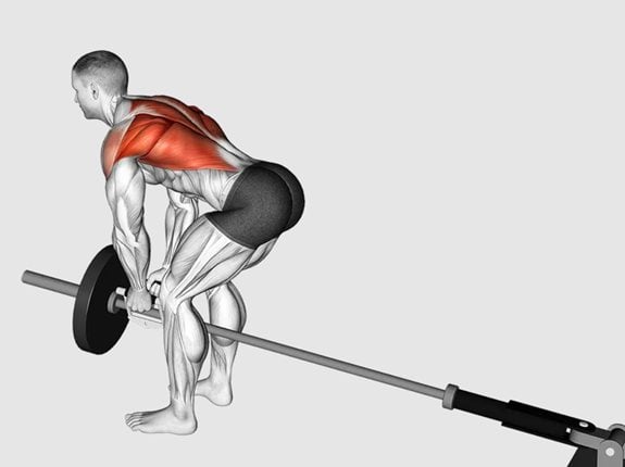Wiosłowanie półsztangą oburącz z V-uchwytem - Lever Bent-over Row with V-bar (plate loaded)
