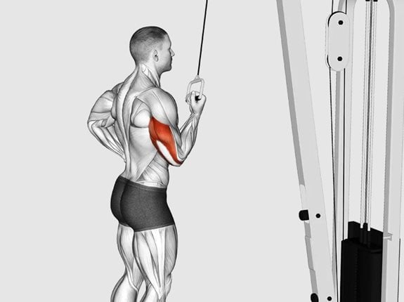 Prostowanie ramienia z rączką wyciągu górnego podchwytem - Cable Standing One Arm Triceps Extension