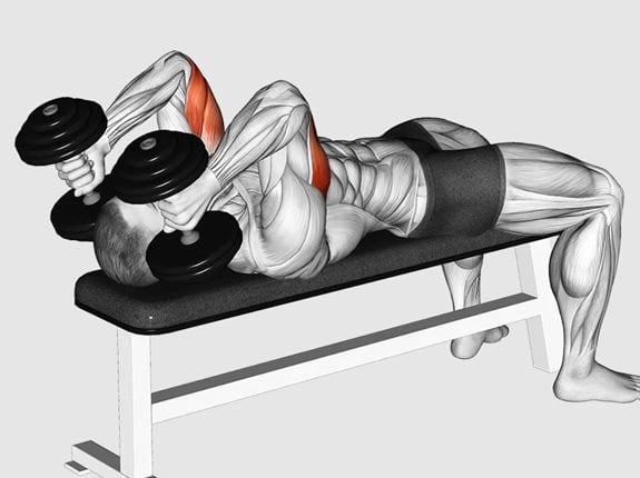 Wyciskanie francuskie z hantlami leżąc - Dumbbell Lying Triceps Extension