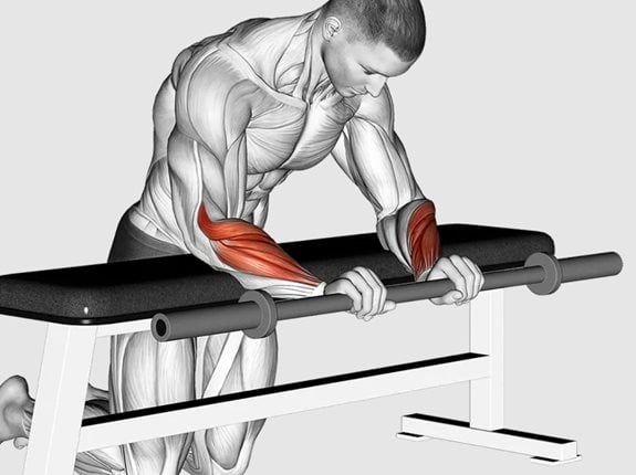 Uginanie nadgarstków ze sztangą trzymaną nachwytem na ławce - Barbell Palms Down Wrist Curl Over A Bench