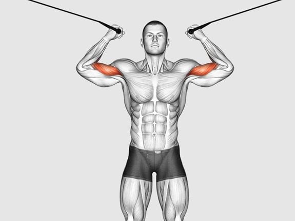 Uginanie przedramion na wyciągu górnym - Cable Overhead Curl