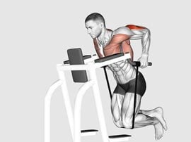 Pompki na poręczach z gumą oporową - Band Assisted Dip