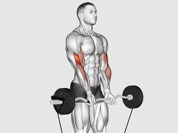Uginanie przedramion ze sztangą łamaną, stojąc z gumą oporową - Band EZ Barbell Close grip Curl