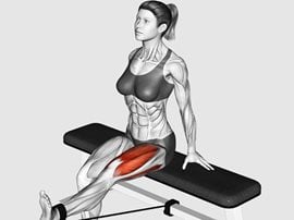 Prostowanie nogi siedząc z gumą oporową - Band Seated Leg Extension