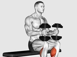 Wspięcia na palce z hantlami siedząc ze stopami na podwyższeniu - Dumbbell Seated Calf Raise