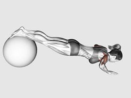 Pompki z nogami na piłce - Push Up on stability ball