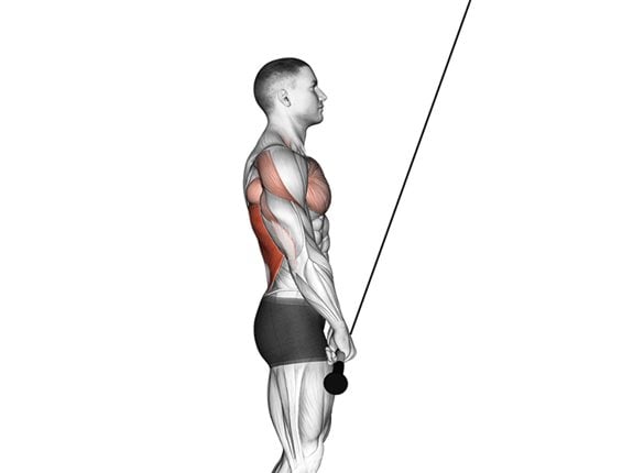 Przyciąganie drążka wyciągu górnego do bioder - Cable Bent over Pullover