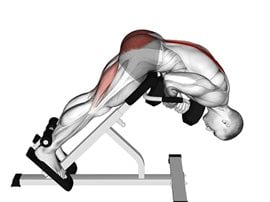 Unoszenie tułowia na ławce rzymskiej z dodatkowym ciężarem - Dumbbell Hyperextension