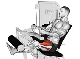 Prostowanie nogi na maszynie siedząc - Lever Seated Leg Extension