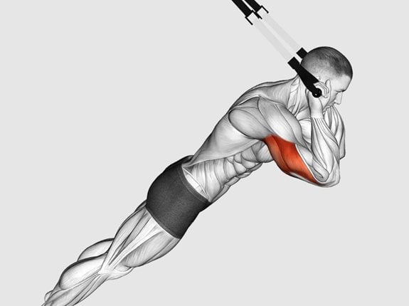 Prostowanie przedramion na TRX - Suspension Triceps Extension