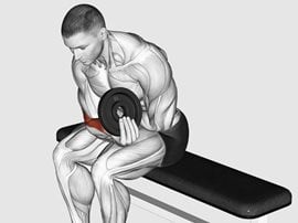 Uginanie nadgarstka z talerzem podchwytem, siedząc - Weighted Seated One Arm Wrist Curl