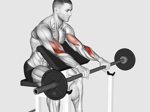 Uginanie przedramion na modlitewniku nachwytem ze sztangą - Barbell Reverse Preacher Curl