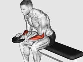 Uginanie nadgarstków z ciężarem nachwytem, siedząc - Weighted Seated Reverse Wrist Curl