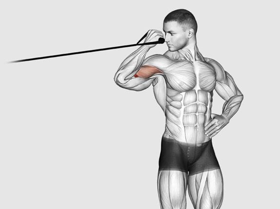 Uginanie przedramienia z gumą oporową stojąc bokiem - Band one arm overhead biceps curl