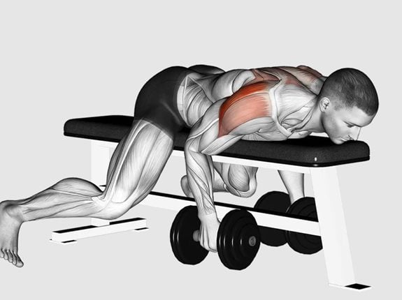 Wznosy ramion w opadzie leżąc na ławce - Dumbbell Lying Rear Lateral Raise