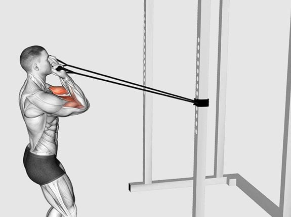 Uginanie przedramion z gumą oporową (łokcie wysunięte do przodu) - Band Horizontal Biceps Curl