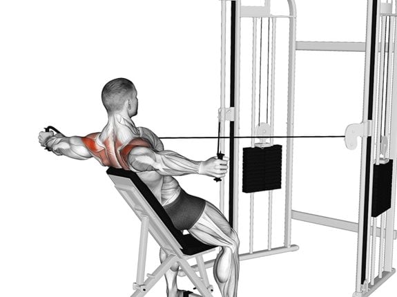 Odwrotne rozpiętki z rączkami wyciągów siedząc - Cable Incline Rear Delt Fly with Back Support