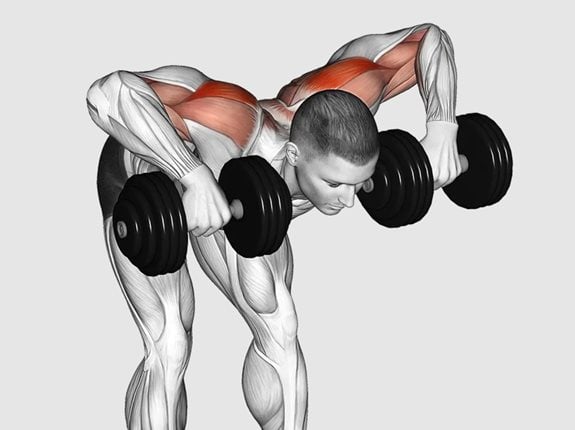 Wiosłowanie hantlami w opadzie tułowia, akcent na tył barków - Dumbbell Bent Over Face Pull