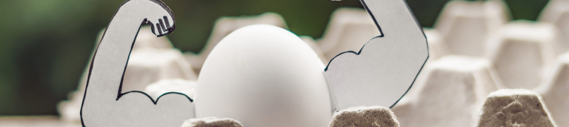 Czy warto kupować białka jaj? Płynne białko jaj