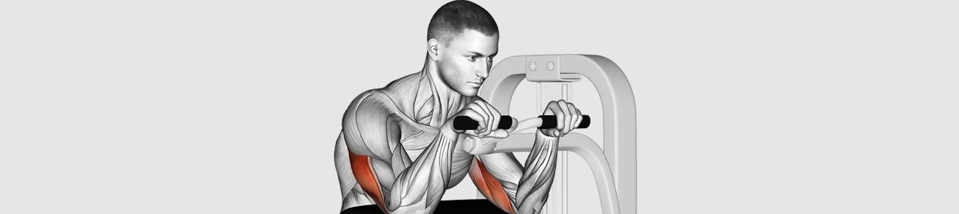 Prostowanie przedramion z rączkami maszyny siedząc - Lever Triceps Extension